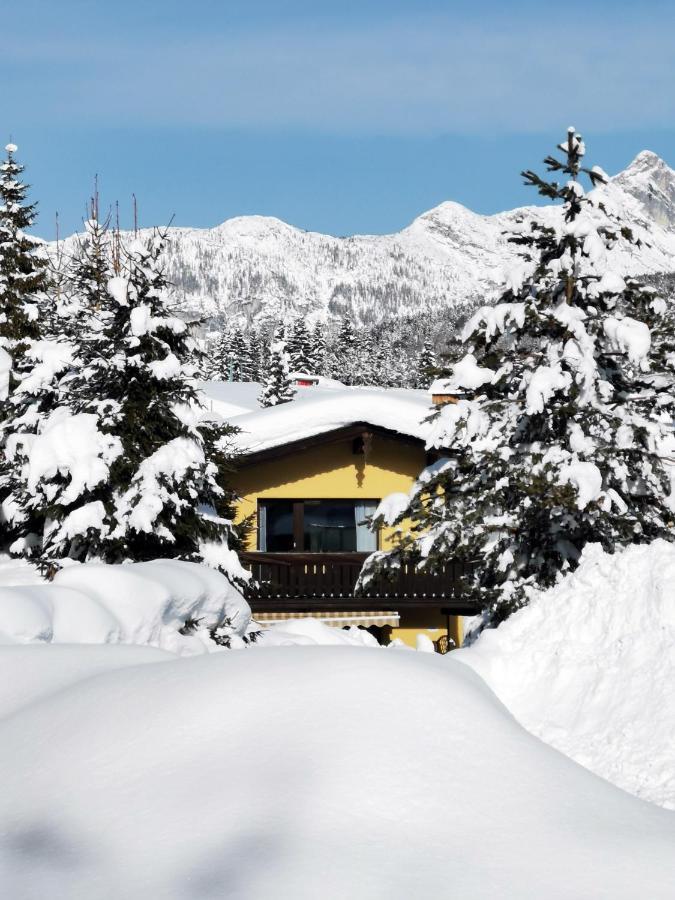 The Seefeld Retreat - Central Family Friendly Apartments - Mountain Views 蒂罗尔-泽费尔德 外观 照片